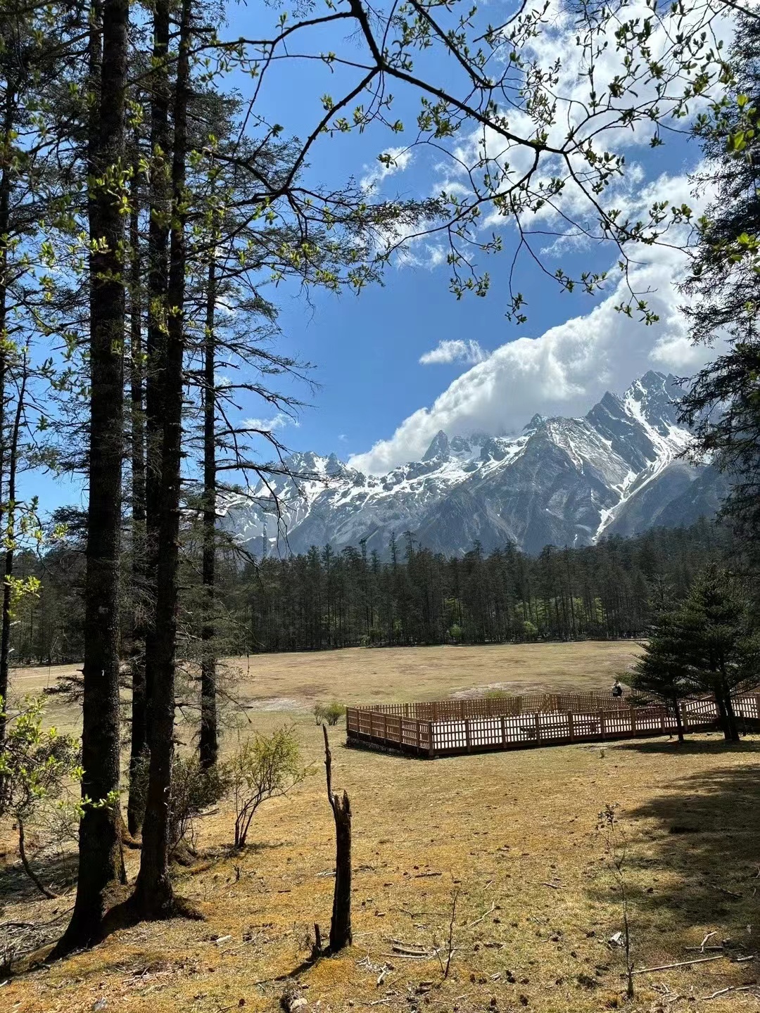 在蓝月谷，我的心随玉龙雪山的云飘荡 (10).jpg