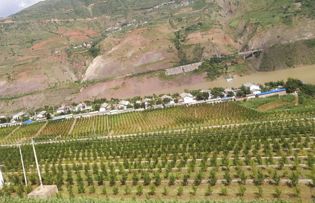 永胜县米汤地安置点：门前绿波漾 屋后果飘香03.jpg