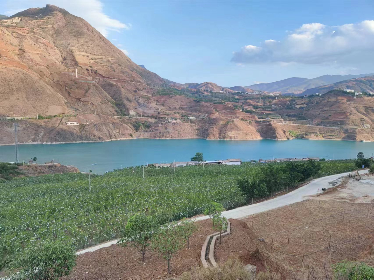 永胜县米汤地安置点：门前绿波漾 屋后果飘香04.jpg