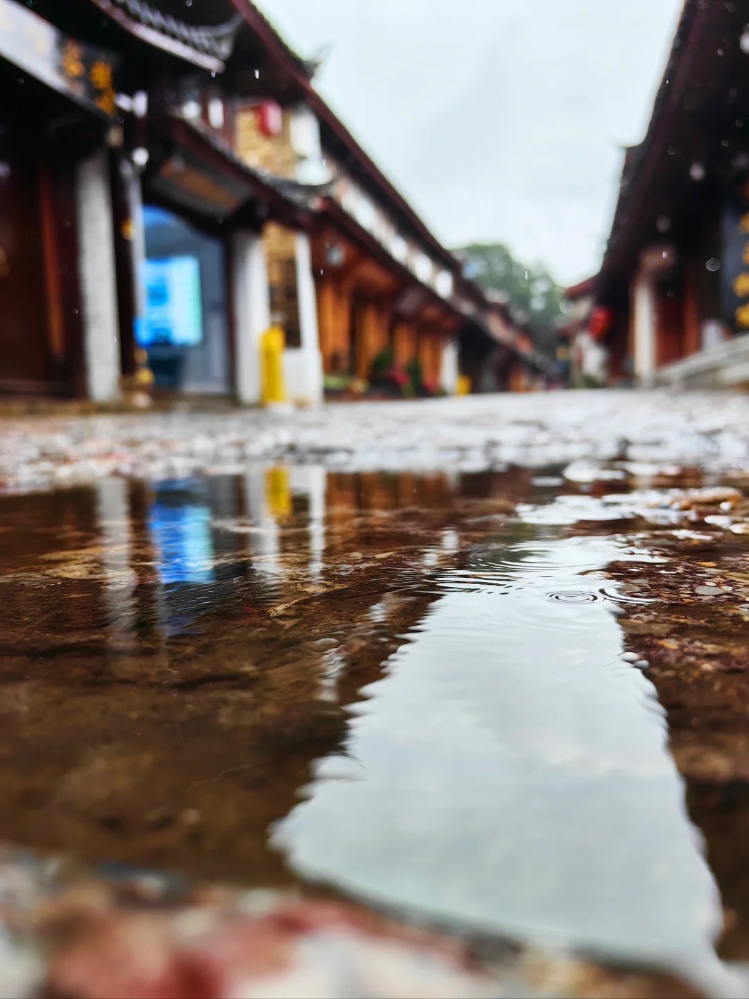 雨落丽江 探寻古城的诗意与远方1.jpg