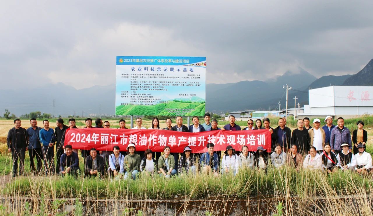 玉龙县农业科技培训“百日行动”助力小春粮油作物单产提升2.jpg