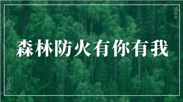 森林防火.jpg
