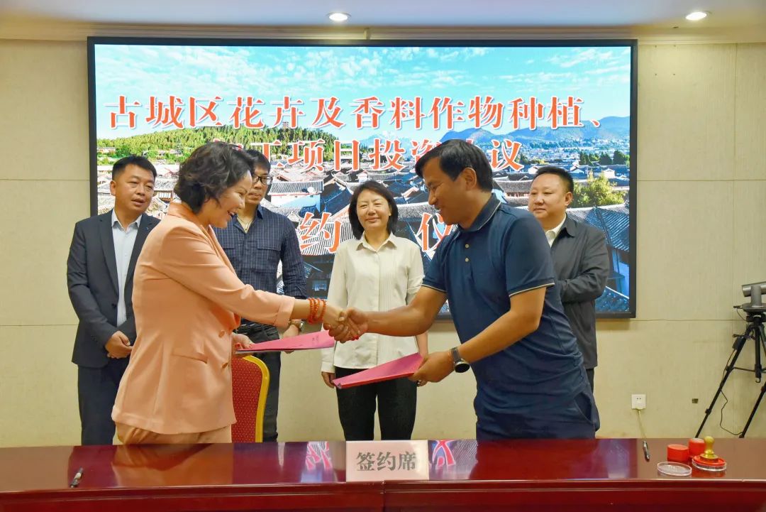 签约！古城区花卉及香料作物种植、加工产业再添新动能02.jpg