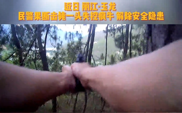 疯牛失控四处顶撞 民警迅速行动果断消除隐患.png