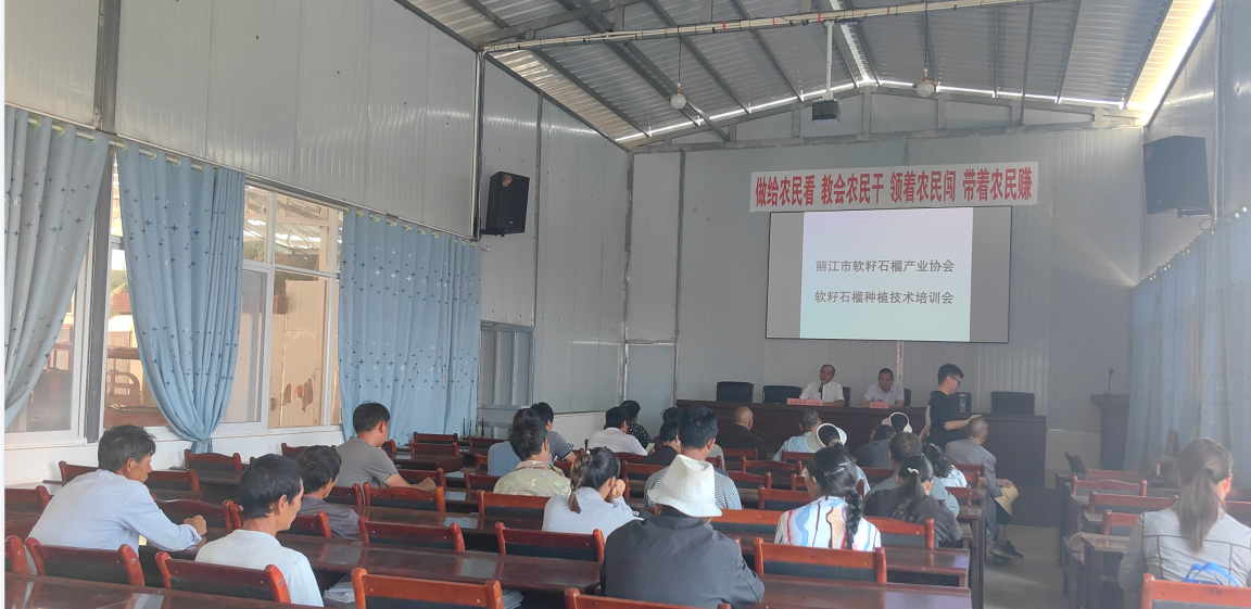 丽江市软籽石榴产业协会开展2024年软籽石榴种植技术培训02.png
