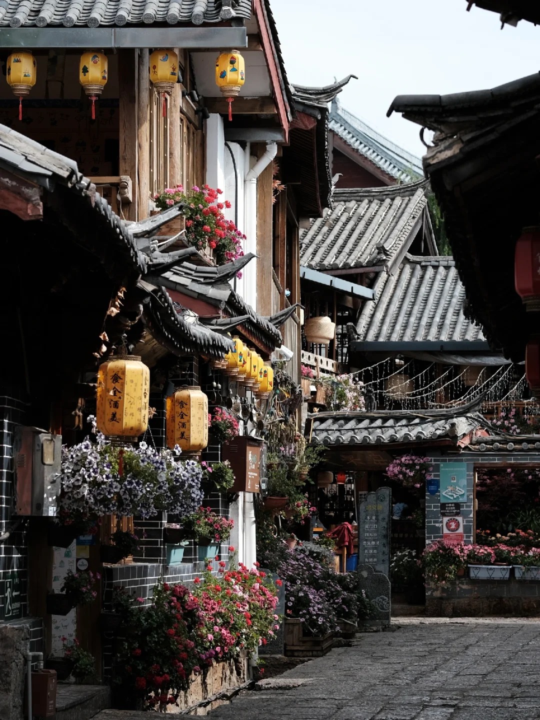 暑期的正确打开方式  从丽江古城开始1.jpg