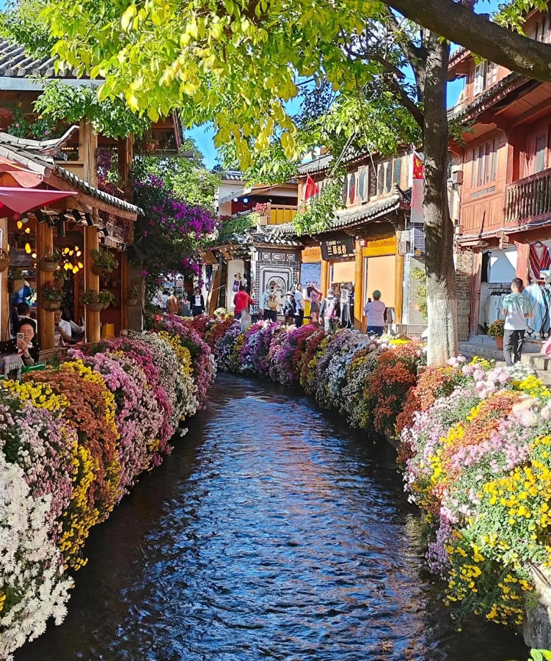 暑期的正确打开方式  从丽江古城开始2.jpg