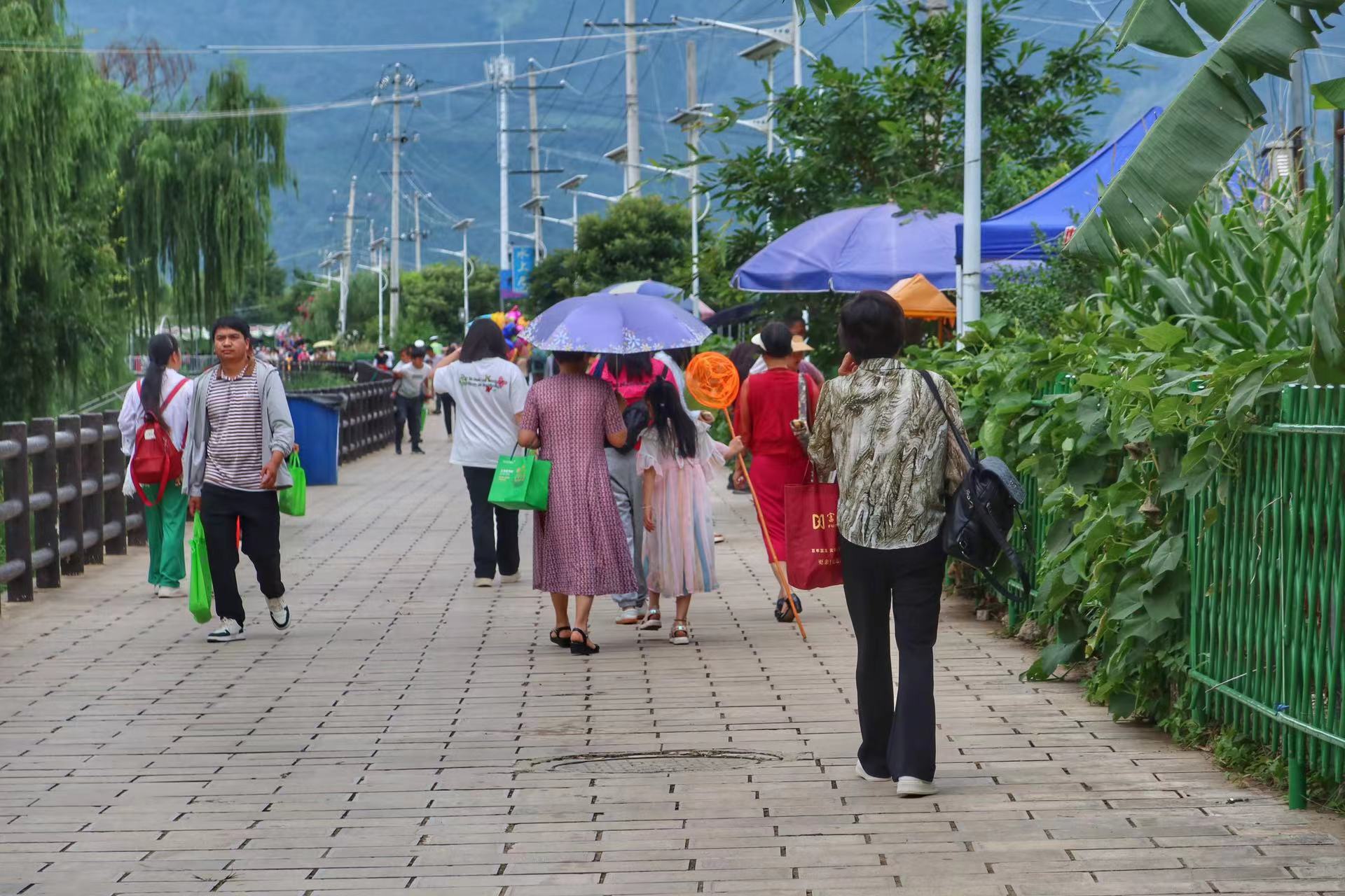 永胜县第三届荷花季启动  邀你共赴一场盛夏之约 (9).jpg