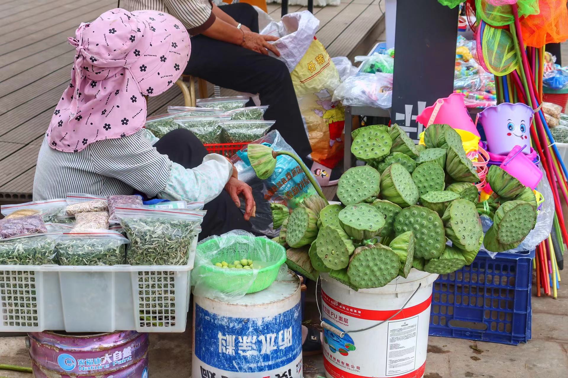 永胜县第三届荷花季启动  邀你共赴一场盛夏之约 (8).jpg