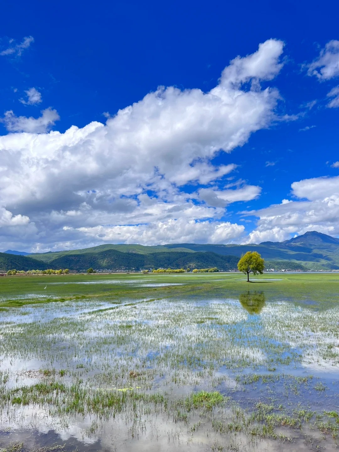 144小时过境免签，解锁丽江“超city”深度玩法07 (1).jpg