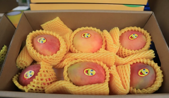 华坪县开展丽江芒果区域公共品牌“进景区”品牌宣传展示周活动 (1).png