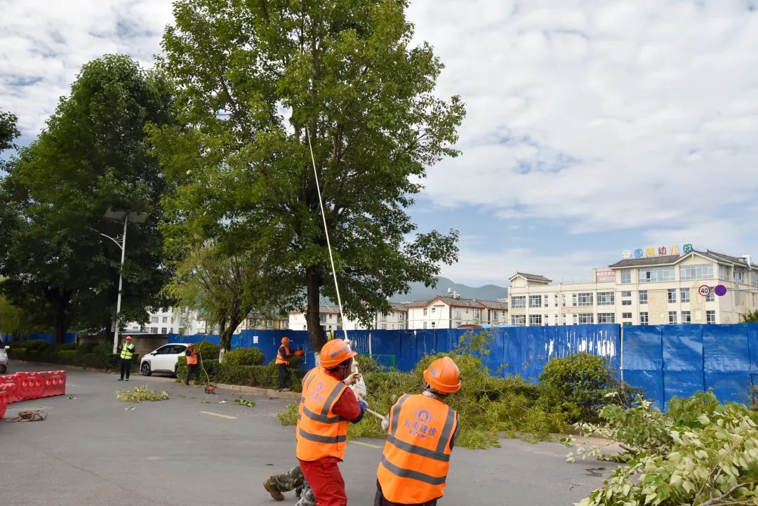 交通管控、清除树木！丽江南口路改扩建行道树迁移施工有序进行02.jpg