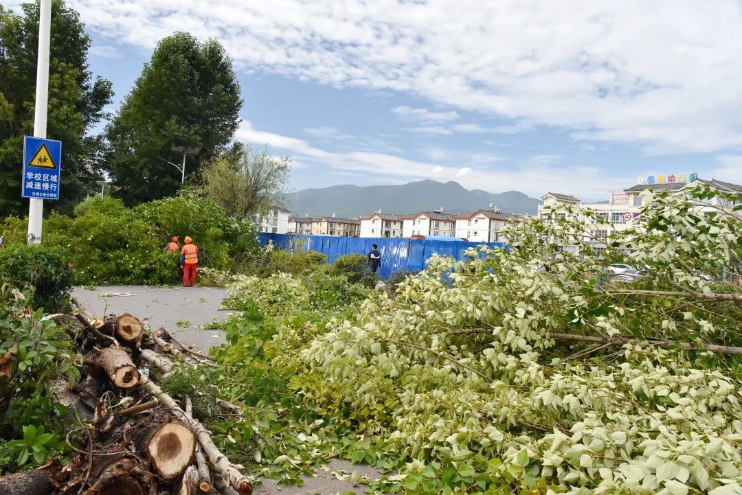 交通管控、清除树木！丽江南口路改扩建行道树迁移施工有序进行04.jpg