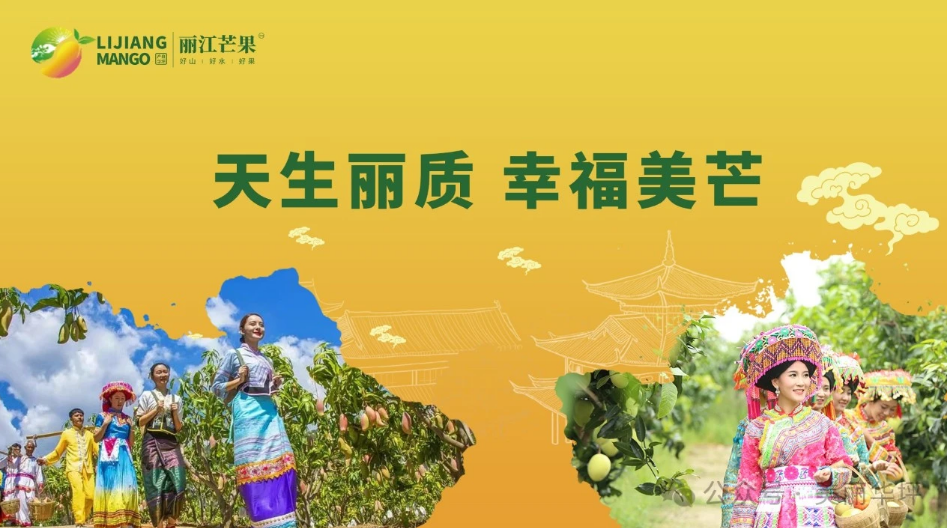 2024年华坪县第十五届芒果季 盛大开幕.png