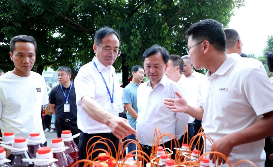 2024年华坪县第十五届芒果季 盛大开幕1.png