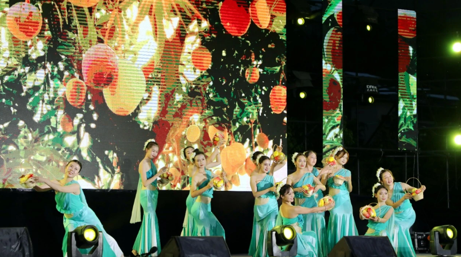 2024年华坪县第十五届芒果季 盛大开幕5.png