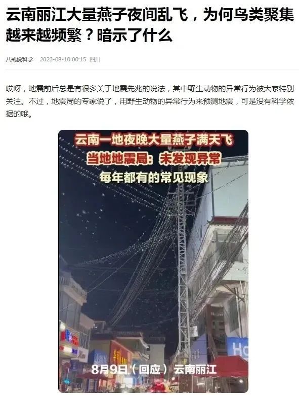 丽江部分小区鸟群盘旋是地震先兆吗？区地震局回应来了3.jpg