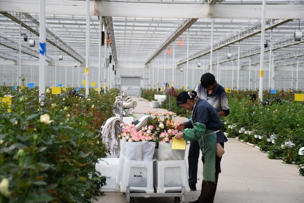 丽江经济运行“半年报”出炉 生产总值增长6.5%3.jpg