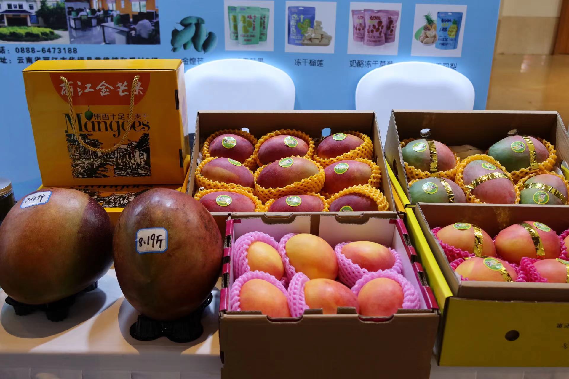 丽果出圈  第九届中国果业品牌大会在丽江开幕 (5).jpg