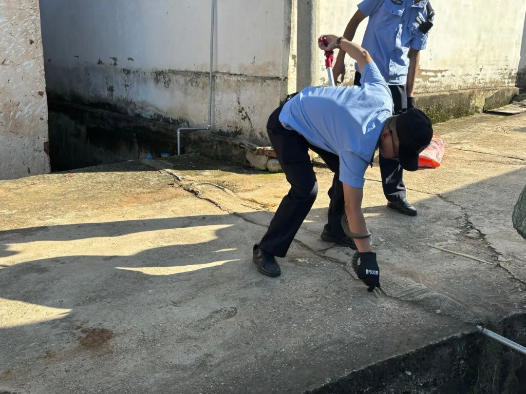 蛇出没！丽江警方化身“天命捕蛇人”02.jpg