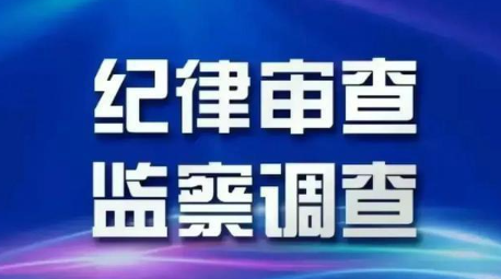 纪律审查监察调查.png