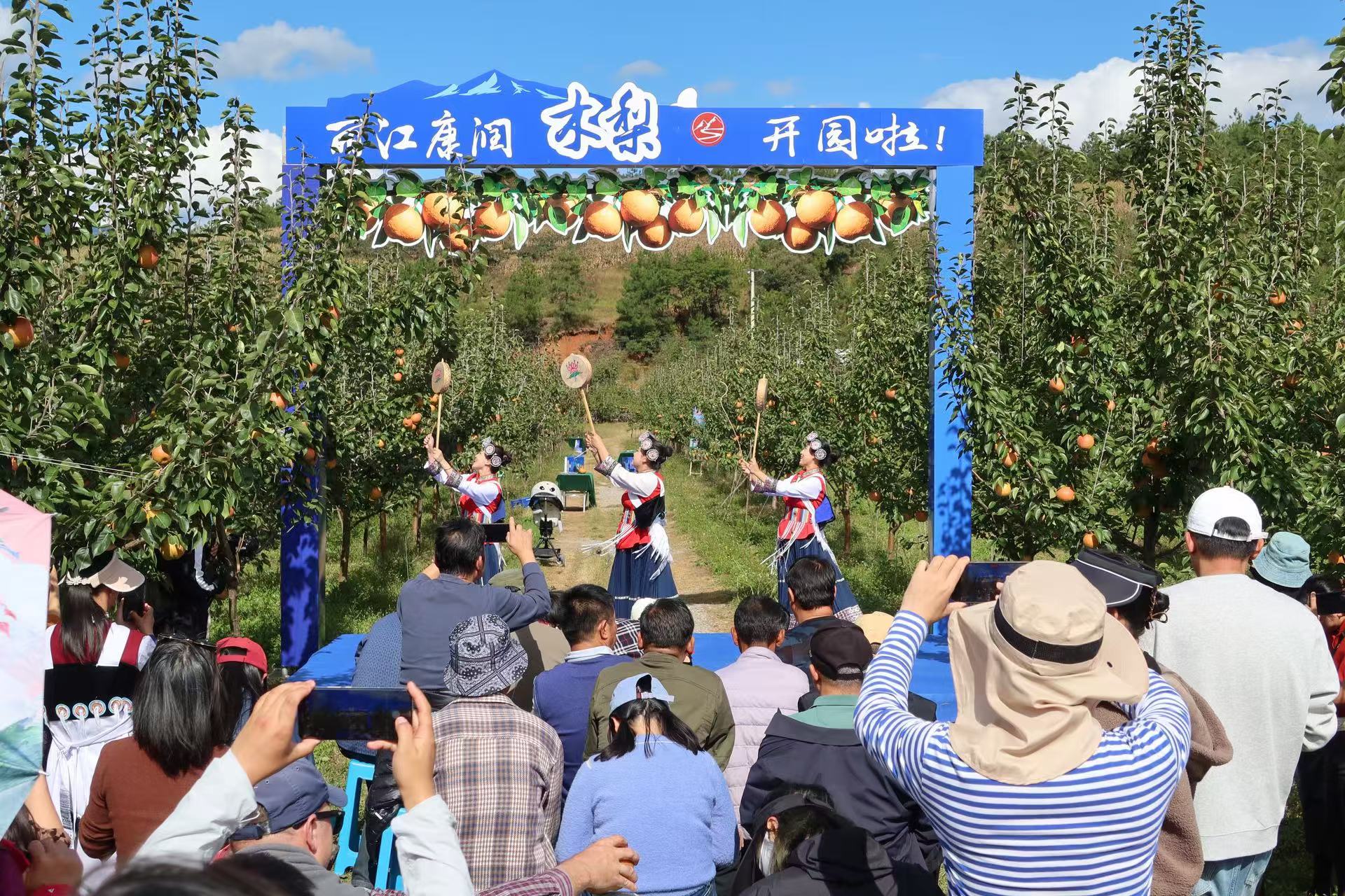 丽江康润木梨开园啦！速来尝鲜 等你来摘！ (3).jpg