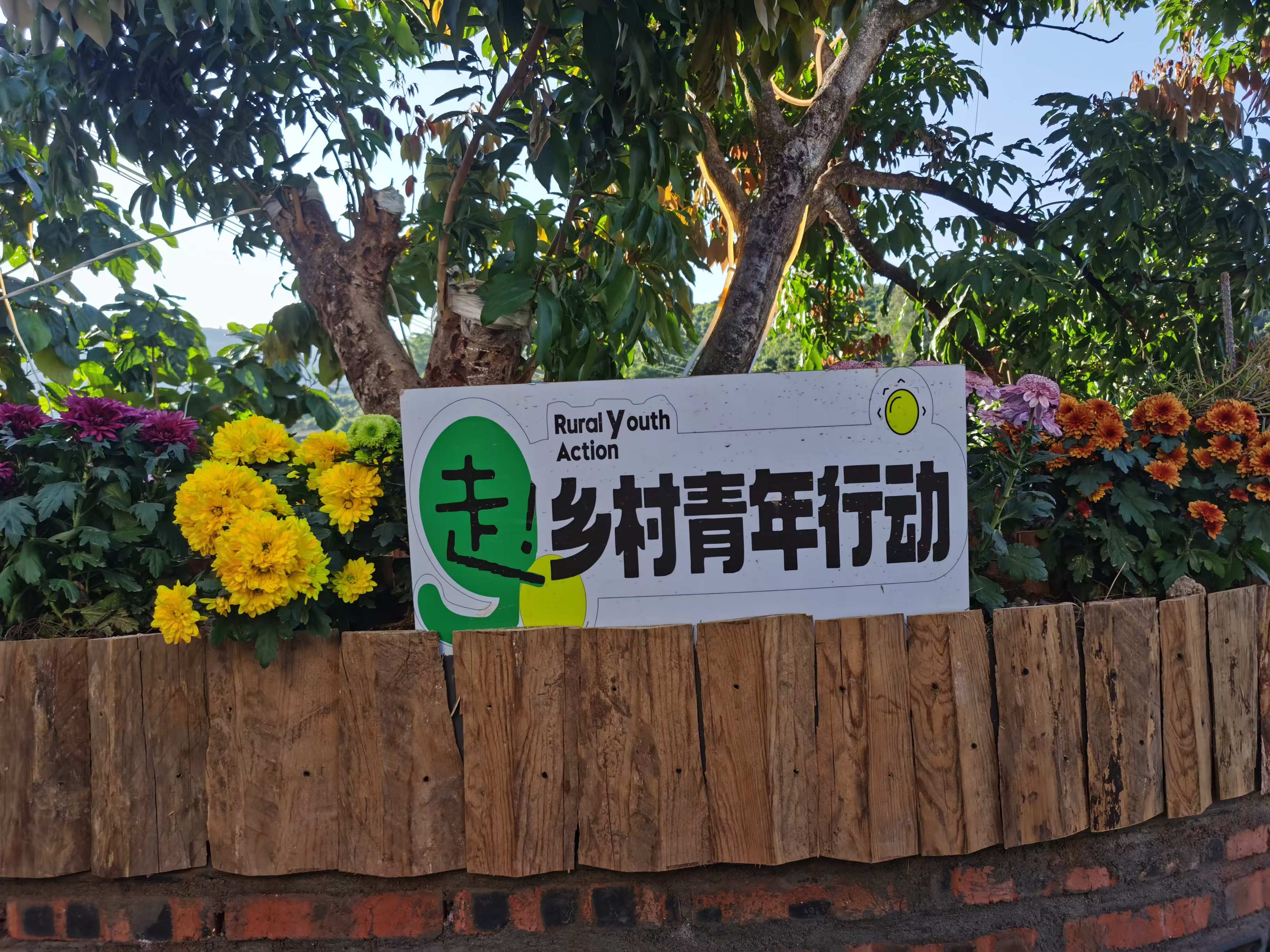 绿水青山变金山银山：华坪县乡村振兴与电商的双赢之路4.jpg