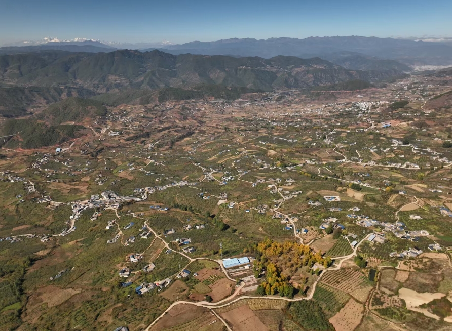 党建引领苹果香，宁蒗新营盘乡铺就甜蜜致富路 (1).png