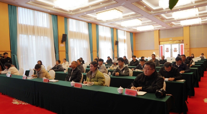 全面深化改革 推动高质量发展 华坪县交亮眼成绩单 (1).png