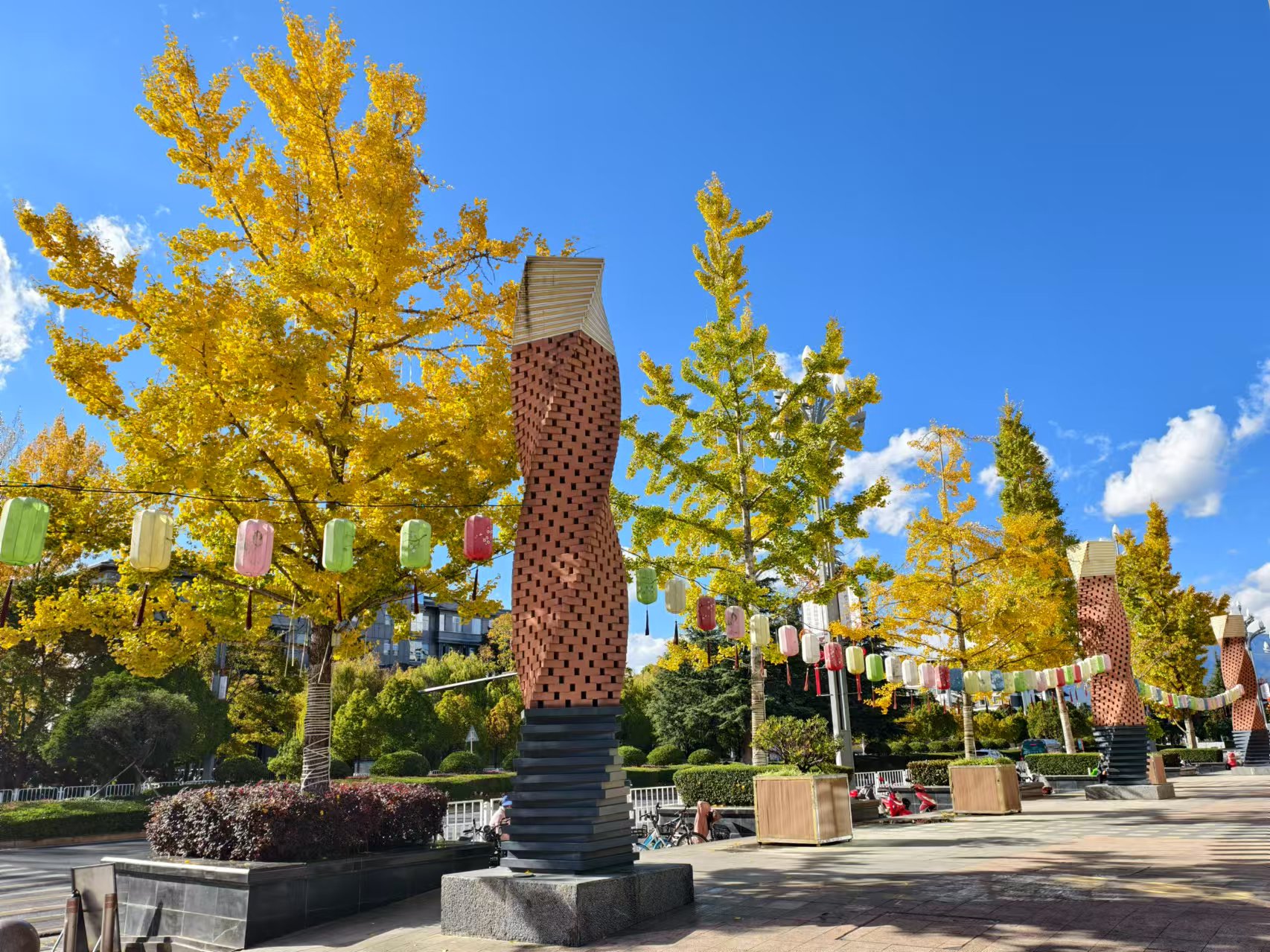 丽江街头银杏黄，冬日里的一抹亮色 美翻了！ (5).jpg