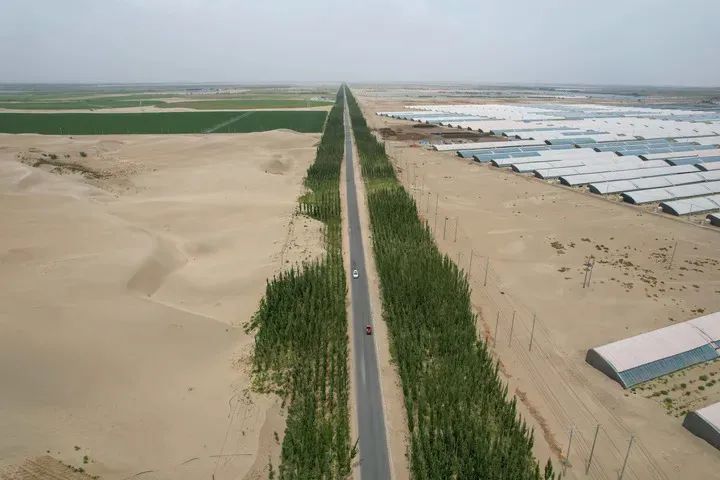 我国最大沙漠实现3046公里生态屏障全面锁边“合龙”3.jpg