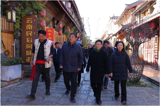 专家学者齐聚丽江古城，开展“世界遗产城市可持续发展”考察调研3.png