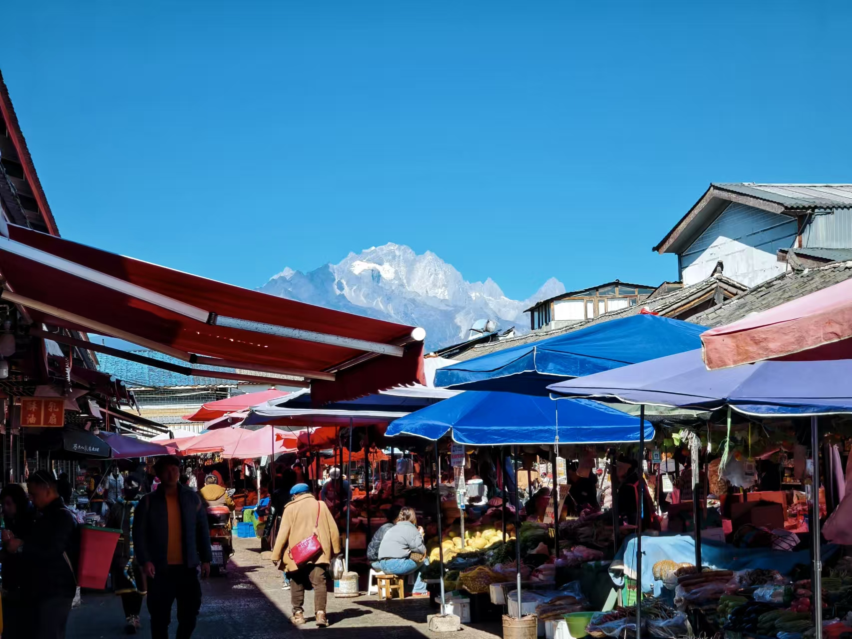 在丽江古城遇见玉龙雪山 (1).jpg