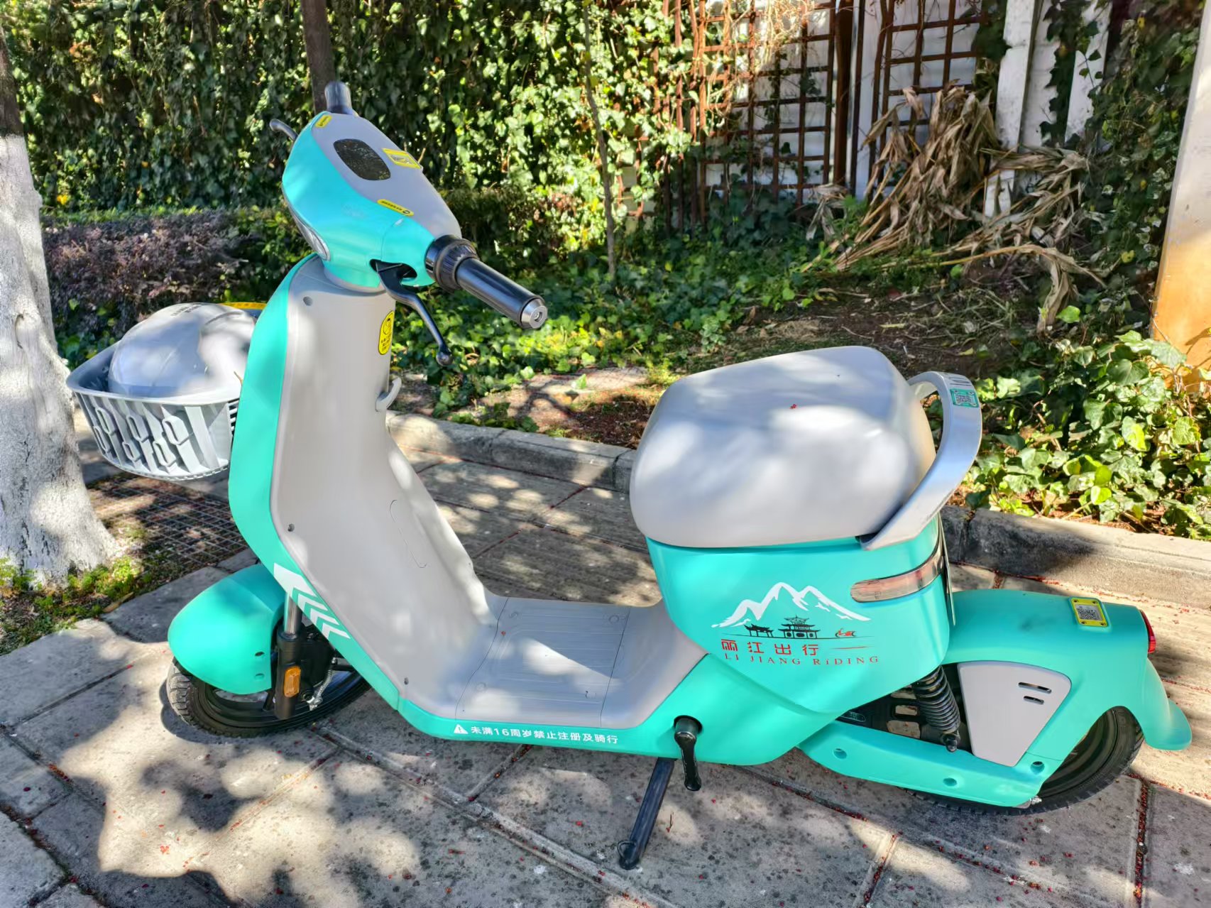 再添新色彩  玉龙县也有共享电单车了 ！   (4).jpg