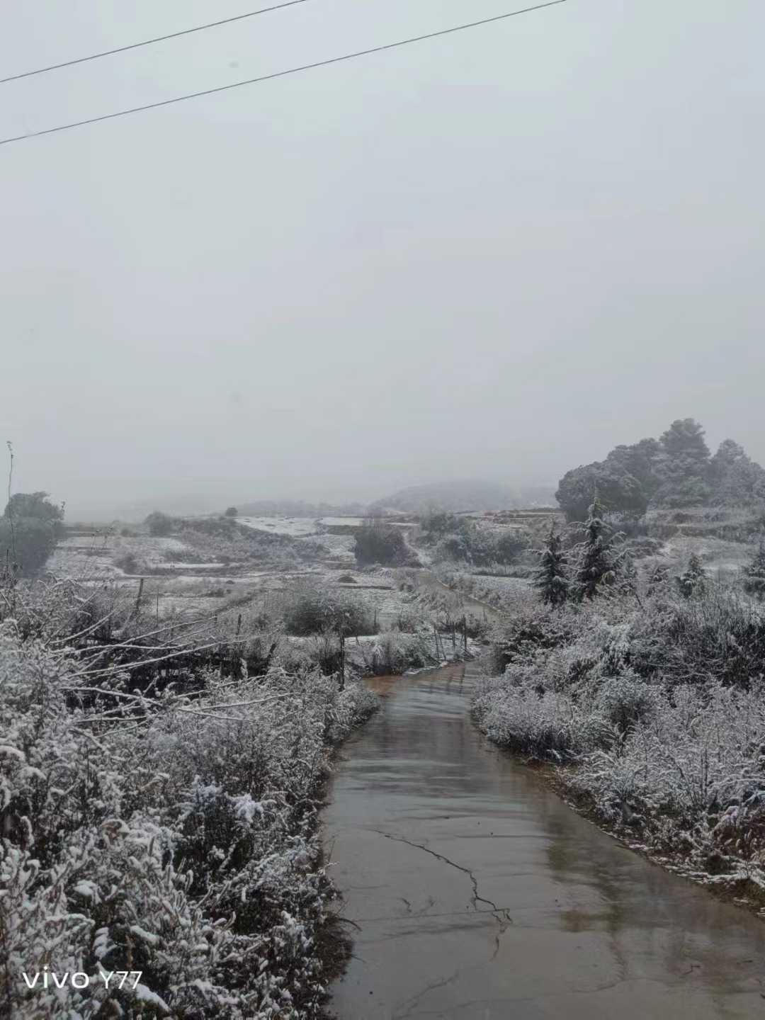 丽江迎来2025年初雪 (3).jpg