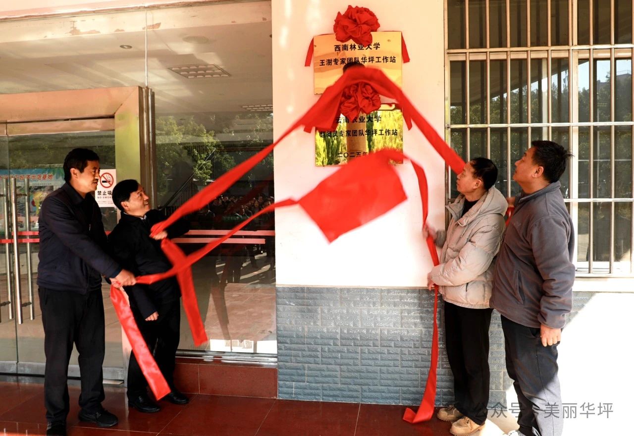 华坪县林下经济专家工作站挂牌成立3.jpg