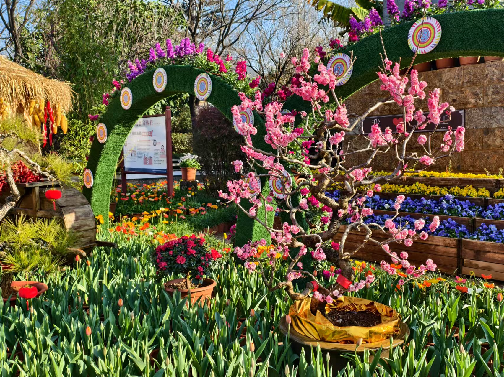 年味渐浓 丽江古城邀你共赴欢乐祥和年 (3).jpg