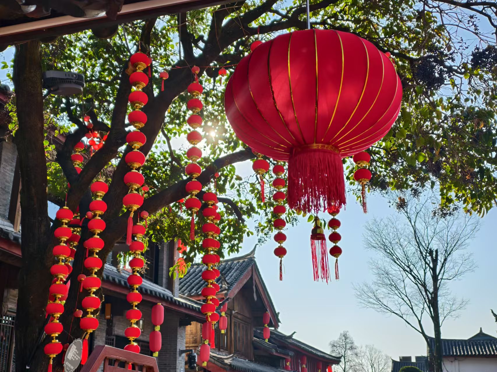 年味渐浓 丽江古城邀你共赴欢乐祥和年 (4).jpg