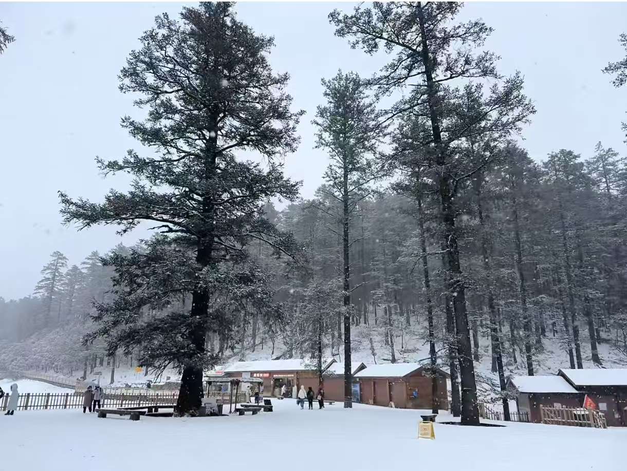 瑞雪迎新年！今天，丽江很多地方都下雪了1.jpeg