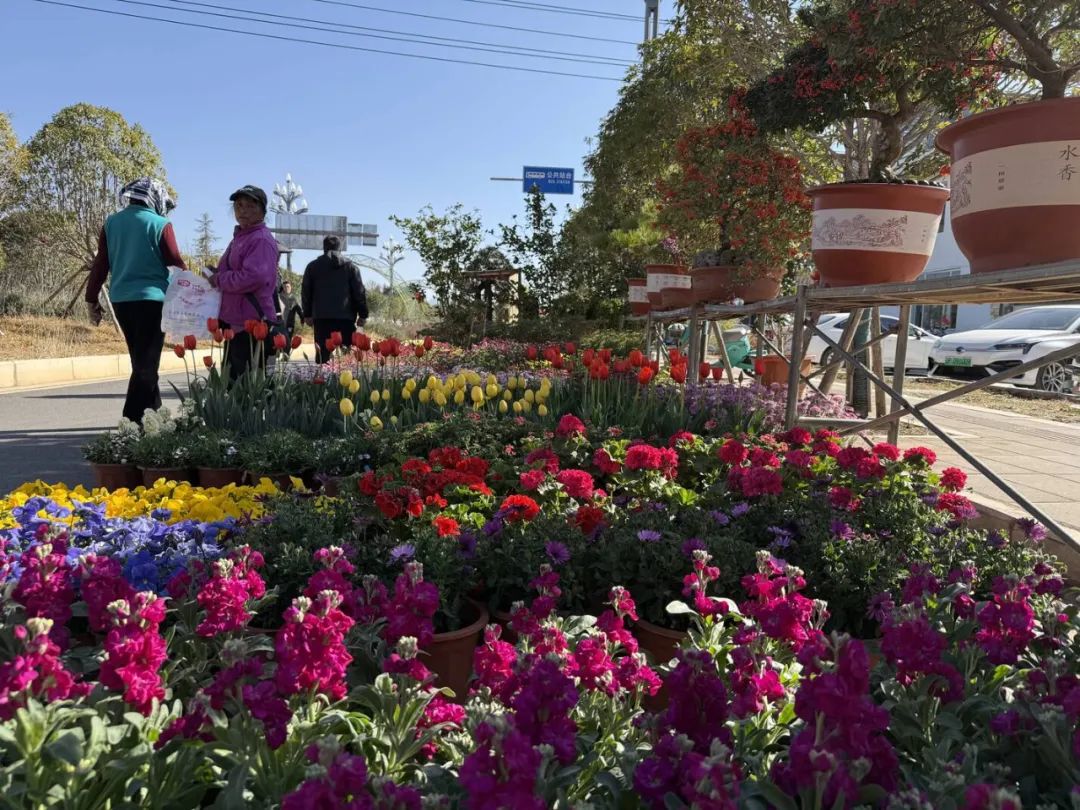 繁花・文创・烟火气 中济海纳西棒棒会好逛好玩 (3).jpg