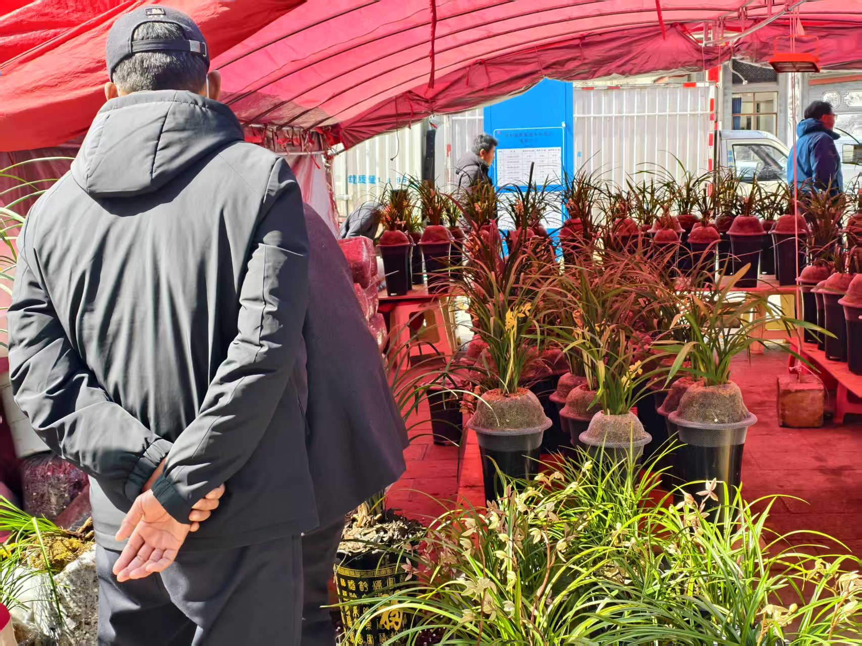 赏民俗 品烟火 购好物！丽江嘉和城棒棒会等你来 “赶场” (2).jpg