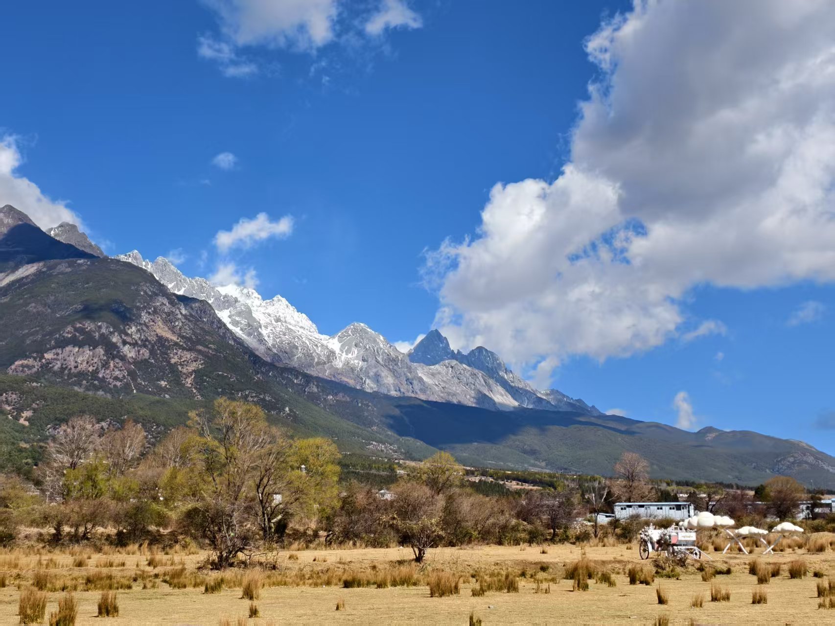 丽江的春天从来不是季节 而是一场值得奔赴的相遇 (2).jpg