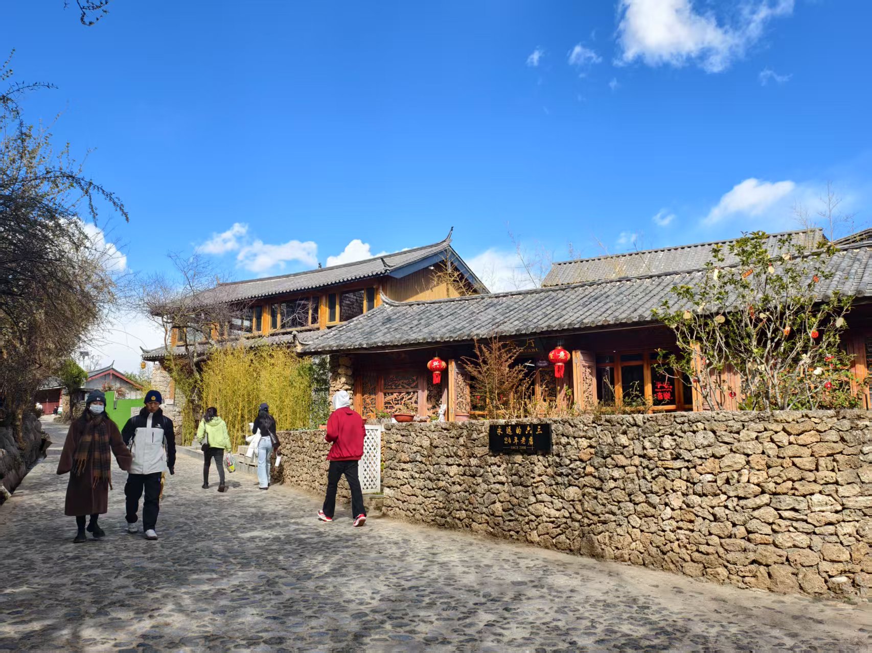 丽江的春天从来不是季节 而是一场值得奔赴的相遇 (6).jpg