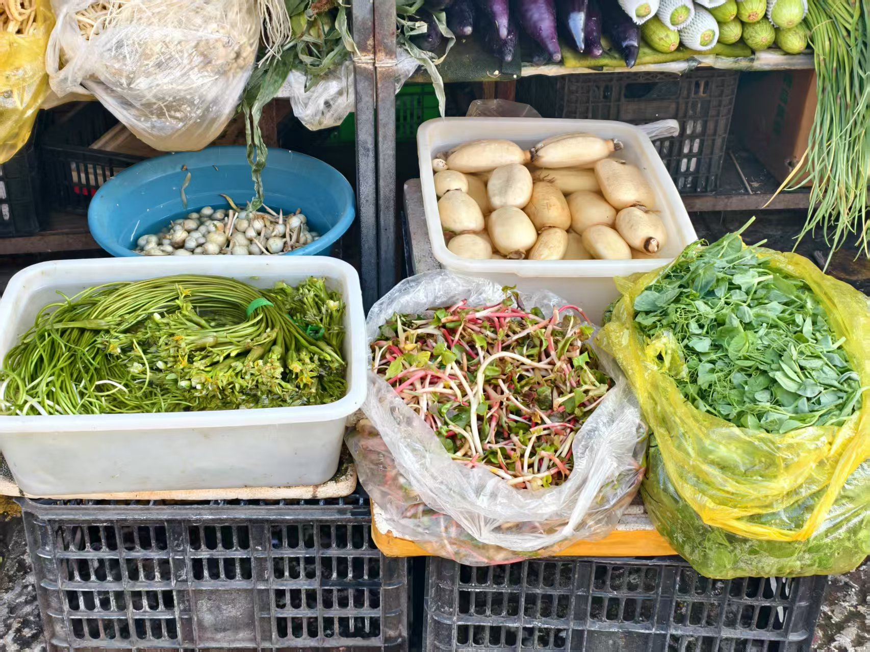 丽江人春天的餐桌：足够野，足够鲜！ (1).jpg