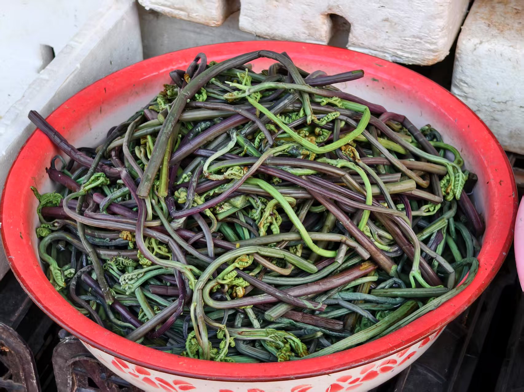 丽江人春天的餐桌：足够野，足够鲜！ (2).jpg