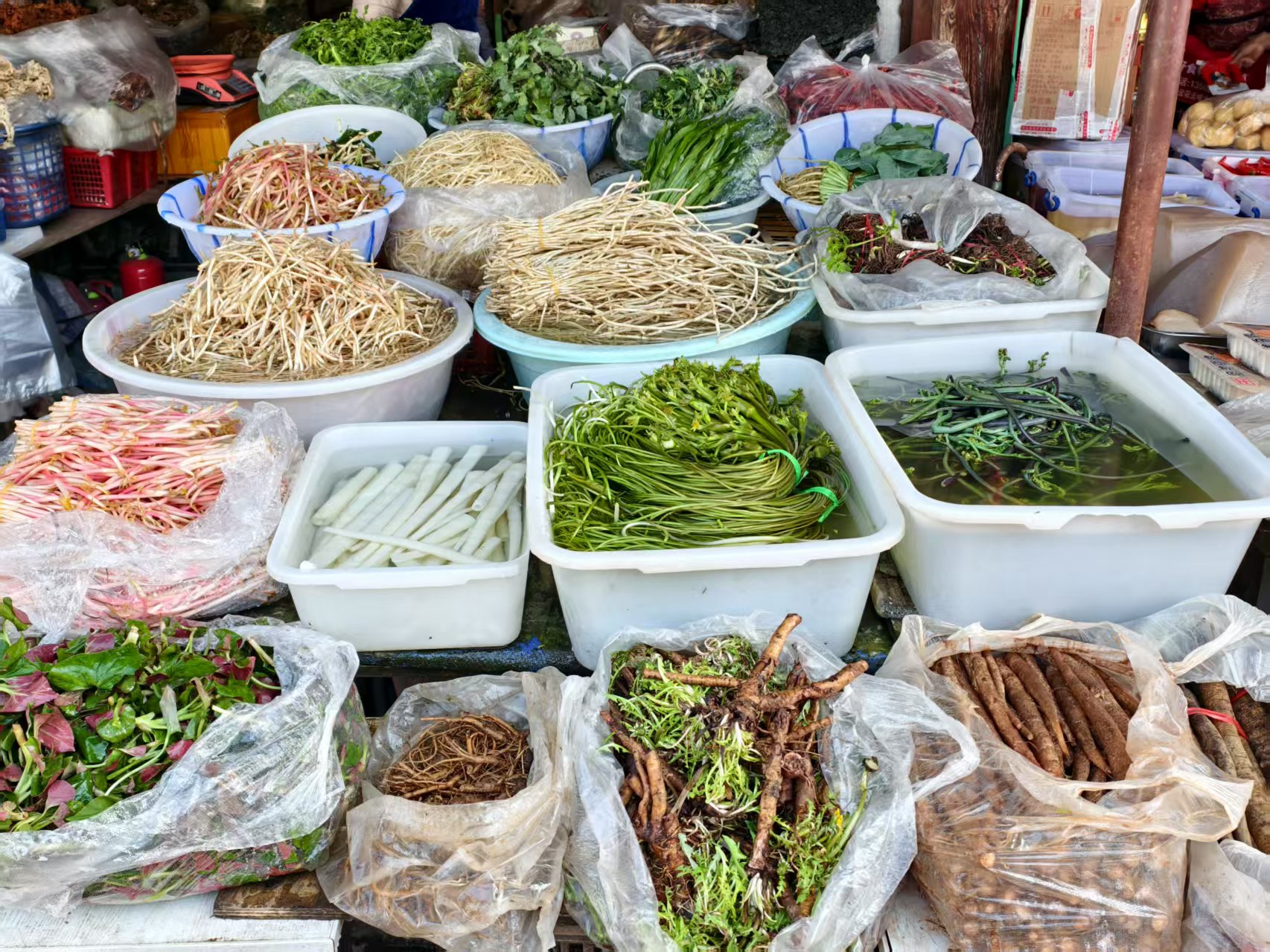 丽江人春天的餐桌：足够野，足够鲜！ (3).jpg