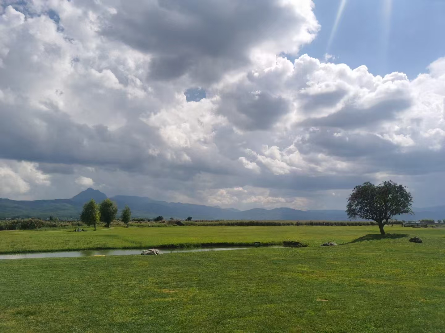 从互帮互助到 “甜蜜负担”，丽江“化賩”经历了什么？4.jpg