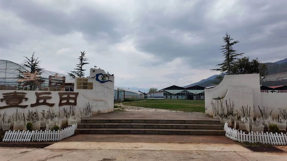 瓦猫工坊里的童趣，丽江研学 “泥” 好精彩1.jpg