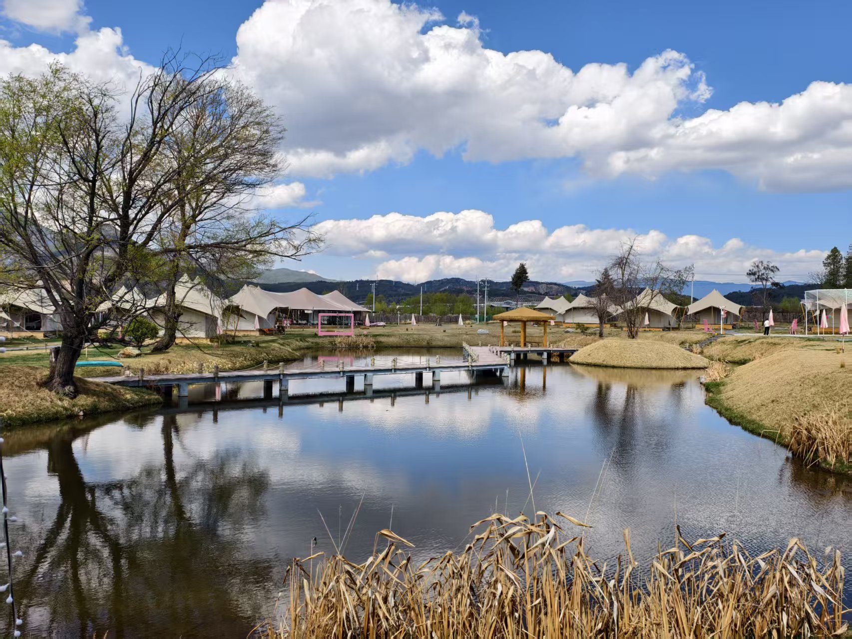 拉市海桃花艺术节将至，十二花神招募开启 共赴浪漫花事 (6).jpg