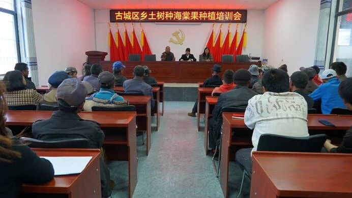 小果子撬动大产业 古城区举办海棠果种植技术培训1.jpg